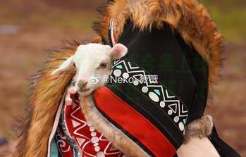 Neko薇薇的高清礼服合集上线：每一款都是时尚的最佳诠释！.txt