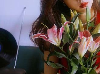 beautyleg – Aries礼服原图呈现：独家写真合集，带你领略无与伦比的美丽.txt