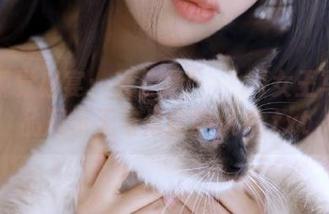 高清视觉盛宴：姜仁卿(강인경)女王写真作品展示无与伦比的风采.txt