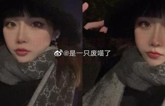 捕捉冬の太阳的印记：是一只废喵了最新原图更新，感受阳光耀眼.txt