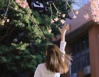 梦丝女神 – 魏婷婷高清写真集：让网袜成为你衣橱中不可或缺的时尚单品.txt