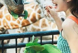 秀人网 – 杜viki的礼服写真资源精彩上线，在线福利不容错过。.txt