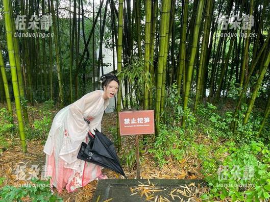 御姐写真资源！秋和柯基倾情演绎的绝美瞬间，值得收藏.txt