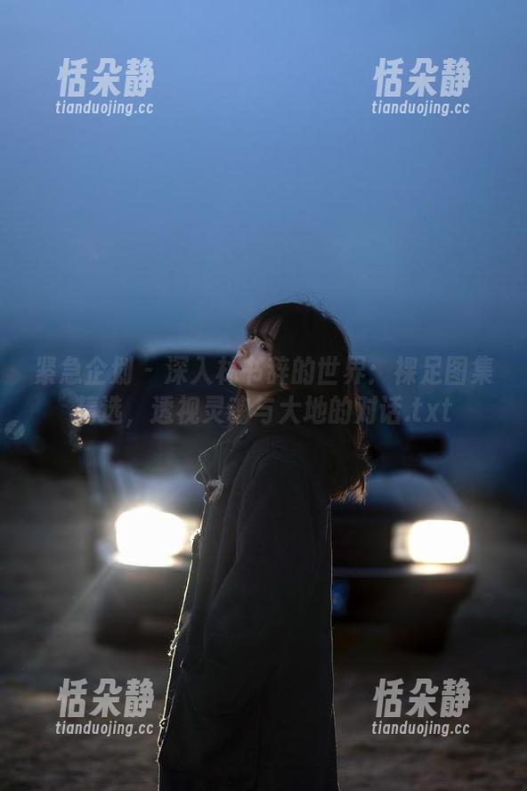 紧急企划 - 深入林书辞的世界：裸足图集精选，透视灵魂与大地的对话.txt