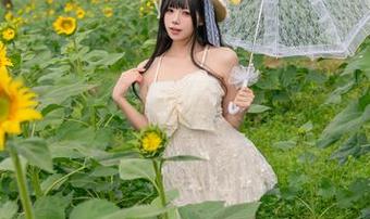 黏黏团子兔御姐图包全新升级，丰富资源让你尽享视觉盛宴.txt